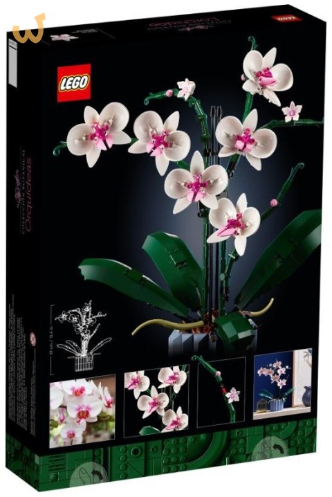 LEGO Icons 10311 Orchidea LEGO Icons 10311 Orchidea