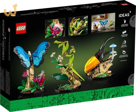 LEGO Ideas 21342 Kolekcja owadów LEGO Ideas 21342 Kolekcja owadów