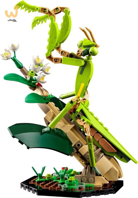 LEGO Ideas 21342 Kolekcja owadów LEGO Ideas 21342 Kolekcja owadów