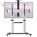 TECHLY MOBILNY STOJAK TV LED/LCD/PDP 60-100 CALI 1