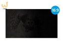 NATEC FILTR PRYWATYZUJĄCY OWL 27" 16:9 NFP-2118