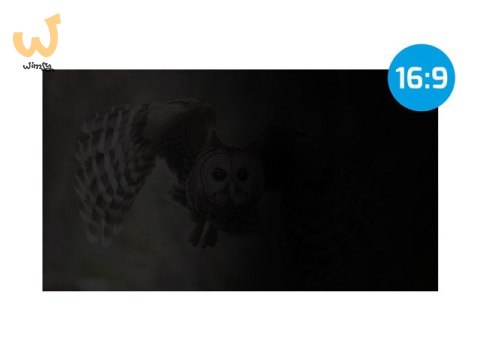 NATEC FILTR PRYWATYZUJĄCY OWL 27" 16:9 NFP-2118 NATEC FILTR PRYWATYZUJĄCY OWL 27" 16:9 NFP-2118