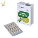 Novativ Ginkgo Biloba 120 Complex 60 kapsułek