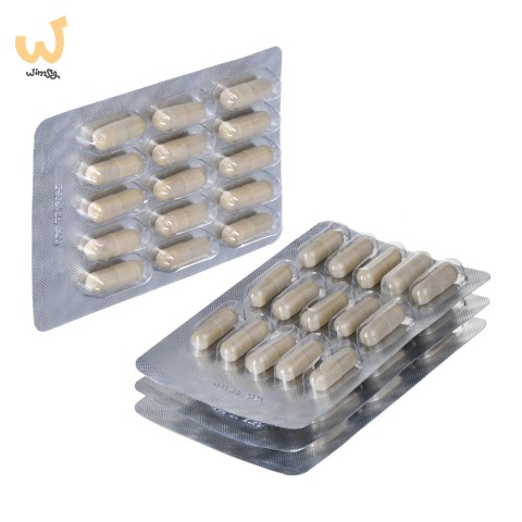 Novativ Ginkgo Biloba 120 Complex 60 kapsułek Novativ Ginkgo Biloba 120 Complex 60 kapsułek