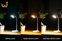 MONTIS MT044 LAMPKA BIURKOWA LED AKUMULATOROWA