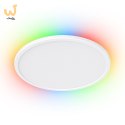 Inteligentna lampa sufitowa Yeelight Light C2201C300 YLXDD-0033