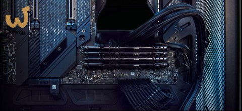Kingston FURY DDR5 16GB (2x8GB) 5200MHz CL40 Beast Black XMP Kingston FURY DDR5 16GB (2x8GB) 5200MHz CL40 Beast Black XMP