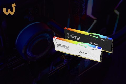 Kingston FURY DDR5 32GB (2x16GB) 5200MHz CL36 Beast Black RGB EXPO Kingston FURY DDR5 32GB (2x16GB) 5200MHz CL36 Beast Black RGB EXPO
