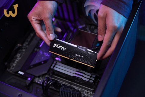 Kingston FURY DDR5 32GB (2x16GB) 5200MHz CL36 Beast Black RGB EXPO Kingston FURY DDR5 32GB (2x16GB) 5200MHz CL36 Beast Black RGB EXPO