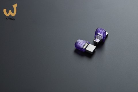 KINGSTON FLASH 256GB USB3.2 DataTraveler microDuo3C KINGSTON FLASH 256GB USB3.2 DataTraveler microDuo3C