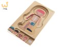 Puzzle drewniane warstwowe budowa ciała montessori chłopiec