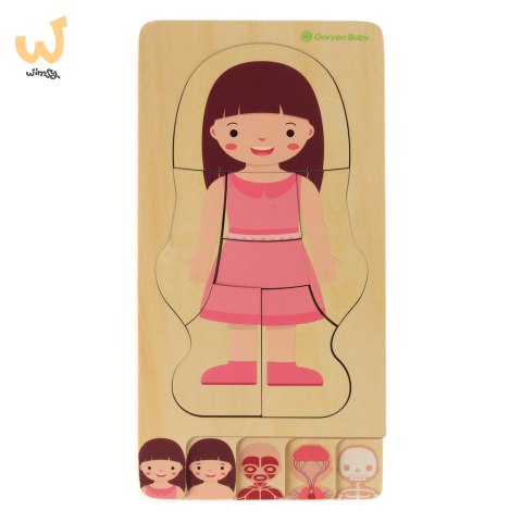 Puzzle drewniane warstwowe budowa ciała montessori dziewczynka Puzzle drewniane warstwowe budowa ciała montessori dziewczynka