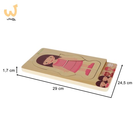 Puzzle drewniane warstwowe budowa ciała montessori dziewczynka Puzzle drewniane warstwowe budowa ciała montessori dziewczynka