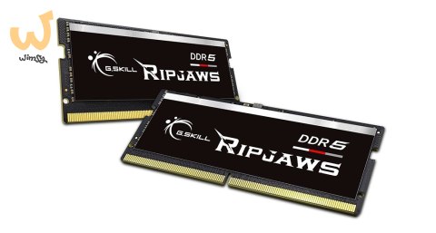 G.SKILL RIPJAWS SO-DIMM DDR5 2X32GB 4800MHZ CL40-39 1,1V F5-4800S4039A32GX2-RS