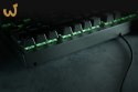Klawiatura Razer BlackWidow V3 Tenkeyless (Green Switch) - US Layout