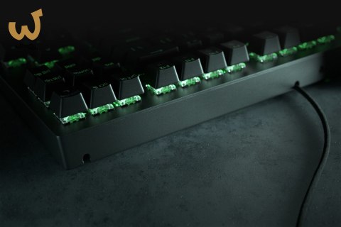 Klawiatura Razer BlackWidow V3 Tenkeyless (Green Switch) - US Layout Klawiatura Razer BlackWidow V3 Tenkeyless (Green Switch) - US Layout