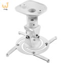 TECHLY UCHWYT DO PROJEKTORA SUFITOWY 22CM 10KG BIA