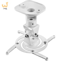 TECHLY UCHWYT DO PROJEKTORA SUFITOWY 22CM 10KG BIA
