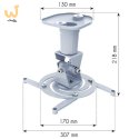 TECHLY UCHWYT DO PROJEKTORA SUFITOWY 22CM 10KG BIA