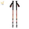 Kije trekkingowe Black Diamond Trail Back burnt sienna