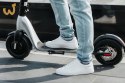 Hulajnoga Scooter Plus JSP-120-0