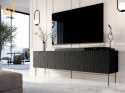 Szafka RTV JUNGLE 190x40,5x59,5 czarny mat + złote nóżki