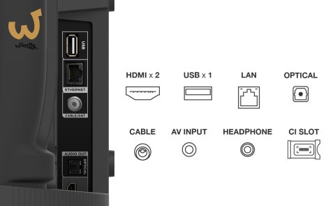 Telewizor TCL 40S5400 LED 40'' Full HD Android Dolby Digital DVB-T2 Srebrny Telewizor TCL 40S5400 LED 40'' Full HD Android Dolby Digital DVB-T2 Srebrny