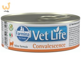 FARMINA Vet Life Convalescence Feline - mokra karma dla kota - 85g