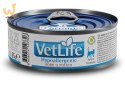 FARMINA Vet Life Hypoallergenic Pork & Potato - mokra karma dla kota - 85 g