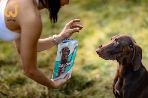 GELOREN Large Dog Suplement dla psa - 420g GELOREN Large Dog Suplement dla psa - 420g
