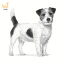 ROYAL CANIN Gastrointestinal Low Fat Small 1,5kg