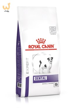 ROYAL CANIN SHN Adult Small Dog Dental & Digest - sucha karma dla dorosłych psów - 2 kg