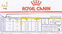 ROYAL CANIN Urinary Moderate Calorie - saszetka 12x85g