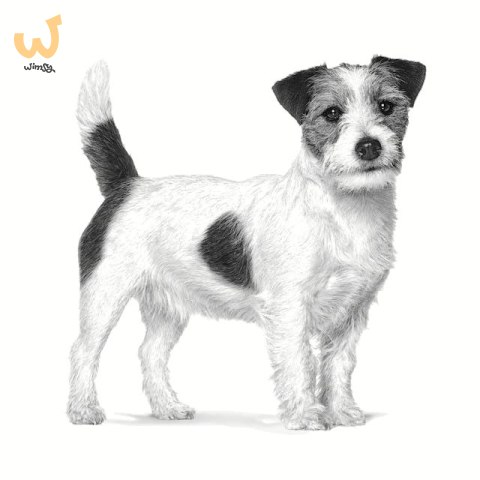 ROYAL CANIN VHN Dog Anallergenic Small 1,5kg ROYAL CANIN VHN Dog Anallergenic Small 1,5kg