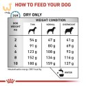 ROYAL CANIN VHN Dog Anallergenic Small 1,5kg