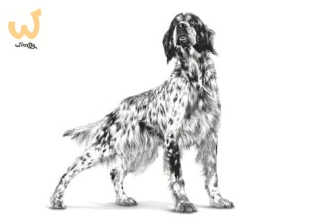 ROYAL CANIN VHN Dog Hepatic 7kg ROYAL CANIN VHN Dog Hepatic 7kg