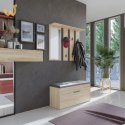 Wieszak + lustro PARMA 100x15xH.81,5 sonoma
