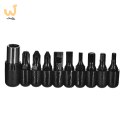 Multitool AZYMUT Gron - 11 narzędzi + 9 bitów + kabura (H-P224052)