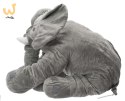 Maskotka pluszowa słoń szary duży 60cm