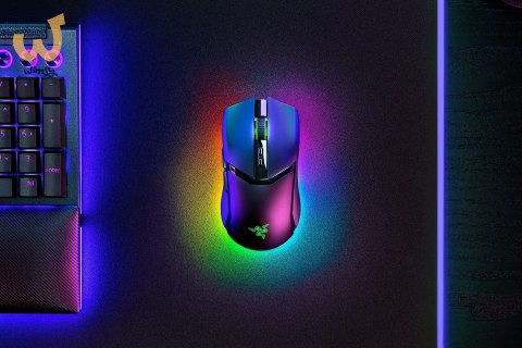 Razer Cobra Pro Mouse Black Razer Cobra Pro Mouse Black