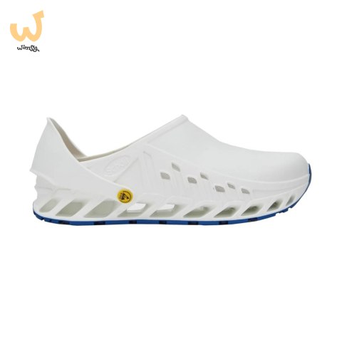 Buty Evoflex marki Scholl Buty Evoflex marki Scholl