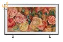 Telewizor 43" Samsung QE43LS03D