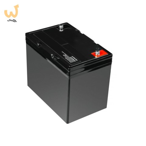 GREEN CELL AKUMULATOR LIFEPO4 CAV11 12/12,8V 60AH 768WH / M8 GREEN CELL AKUMULATOR LIFEPO4 CAV11 12/12,8V 60AH 768WH / M8