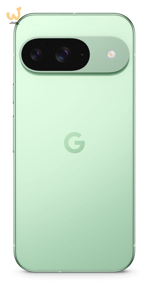 Smartfon Google Pixel 9 5G DualSIM 12/128GB Winter Green Smartfon Google Pixel 9 5G DualSIM 12/128GB Winter Green