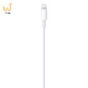 Apple USB-C to Lightning Cable (1 m)