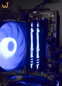 Actina PBA 3600/16GB/1TB/RX6600/500W