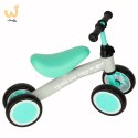 Rowerek Trike Fix Tiny czterokołowy biegowy miętowy