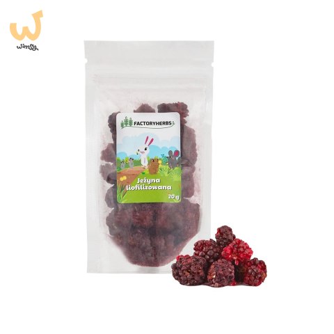 FACTORYHERBS Jeżyna liofilizowana 20g FACTORYHERBS Jeżyna liofilizowana 20g