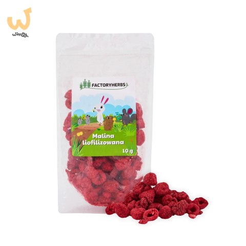 FACTORYHERBS Malina liofilizowana 10g FACTORYHERBS Malina liofilizowana 10g
