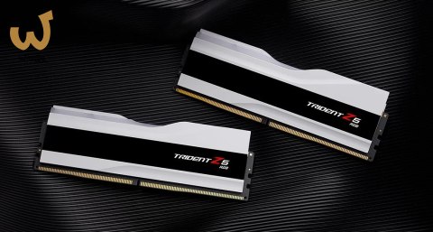 G.SKILL TRIDENT Z5CK DDR5 CUDIMM 2X24GB 8200MHZ CL40 RGB F5-7200J3445G16GX2-TZ5RW G.SKILL TRIDENT Z5CK DDR5 CUDIMM 2X24GB 8200MHZ CL40 RGB F5-7200J3445G16GX2-TZ5RW
